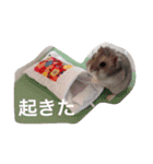 我が家のチュウさん（個別スタンプ：17）