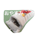 我が家のチュウさん（個別スタンプ：18）