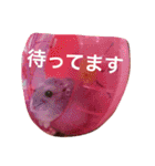 我が家のチュウさん（個別スタンプ：25）