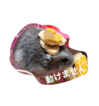 我が家のチュウさん（個別スタンプ：27）