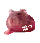 我が家のチュウさん（個別スタンプ：29）