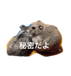 我が家のチュウさん（個別スタンプ：30）