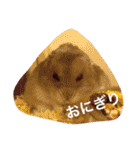 我が家のチュウさん（個別スタンプ：32）