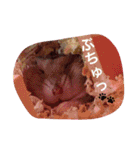 我が家のチュウさん（個別スタンプ：38）
