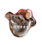 我が家のチュウさん（個別スタンプ：40）