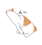 みつとしげ（個別スタンプ：5）