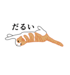 みつとしげ（個別スタンプ：6）