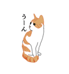みつとしげ（個別スタンプ：7）