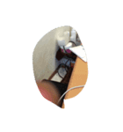 アタルの！（個別スタンプ：2）