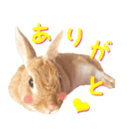 うさぎのきなこ（個別スタンプ：2）