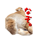 うさぎのきなこ（個別スタンプ：40）