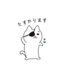 ねこぱっち6（ゆる敬語・丁寧な言葉編）（個別スタンプ：9）