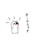 ねこぱっち6（ゆる敬語・丁寧な言葉編）（個別スタンプ：11）