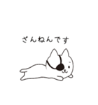ねこぱっち6（ゆる敬語・丁寧な言葉編）（個別スタンプ：21）