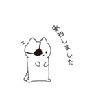 ねこぱっち6（ゆる敬語・丁寧な言葉編）（個別スタンプ：35）