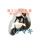 ヒモトレスタンプ（個別スタンプ：6）