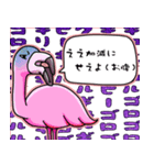 腹痛持ちのための腹痛ミンゴ（個別スタンプ：11）