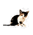 三毛猫illy（個別スタンプ：3）