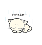 しろいにゃんとぐれいにゃん Vol.2（個別スタンプ：1）