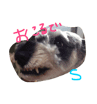 そらるいぽんの日常（個別スタンプ：7）