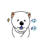 Good Dog - Good Good Good（個別スタンプ：13）