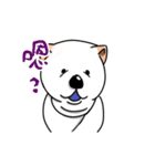 Good Dog - Good Good Good（個別スタンプ：18）