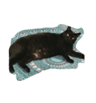 ウチの可愛い黒猫クロ（個別スタンプ：1）