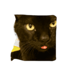 ウチの可愛い黒猫クロ（個別スタンプ：2）