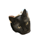 ウチの可愛い黒猫クロ（個別スタンプ：5）