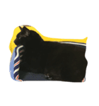 ウチの可愛い黒猫クロ（個別スタンプ：6）