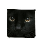 ウチの可愛い黒猫クロ（個別スタンプ：7）