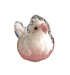 可愛い鳥です。（個別スタンプ：2）
