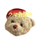 クマだよ〜挨拶ver.（個別スタンプ：1）