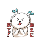 ビションフリーゼ コロ＆マル（個別スタンプ：21）
