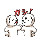 ビションフリーゼ コロ＆マル（個別スタンプ：30）