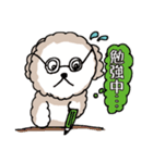 ビションフリーゼ コロ＆マル（個別スタンプ：32）
