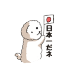 ビションフリーゼ コロ＆マル（個別スタンプ：34）