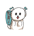 ビションフリーゼ コロ＆マル（個別スタンプ：39）