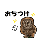 毒舌フクロウさん（個別スタンプ：6）