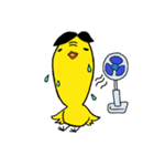 ひよこのひよ太郎（個別スタンプ：13）