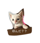 ミルクティー（個別スタンプ：6）