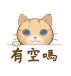 Cat's LifeStyle - Useful Replies（個別スタンプ：2）