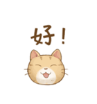 Cat's LifeStyle - Useful Replies（個別スタンプ：5）