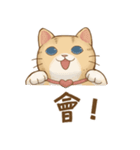 Cat's LifeStyle - Useful Replies（個別スタンプ：6）