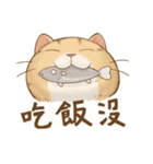 Cat's LifeStyle - Useful Replies（個別スタンプ：11）