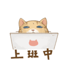 Cat's LifeStyle - Useful Replies（個別スタンプ：19）