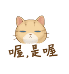 Cat's LifeStyle - Useful Replies（個別スタンプ：21）