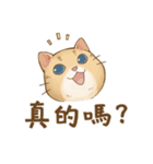 Cat's LifeStyle - Useful Replies（個別スタンプ：25）