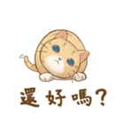 Cat's LifeStyle - Useful Replies（個別スタンプ：27）