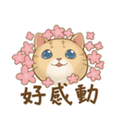 Cat's LifeStyle - Useful Replies（個別スタンプ：37）